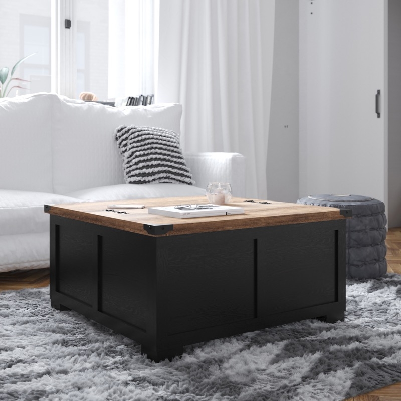 Paneled Base Coffee Table Metal Corner Accents Two-Tone Contrast Trunk