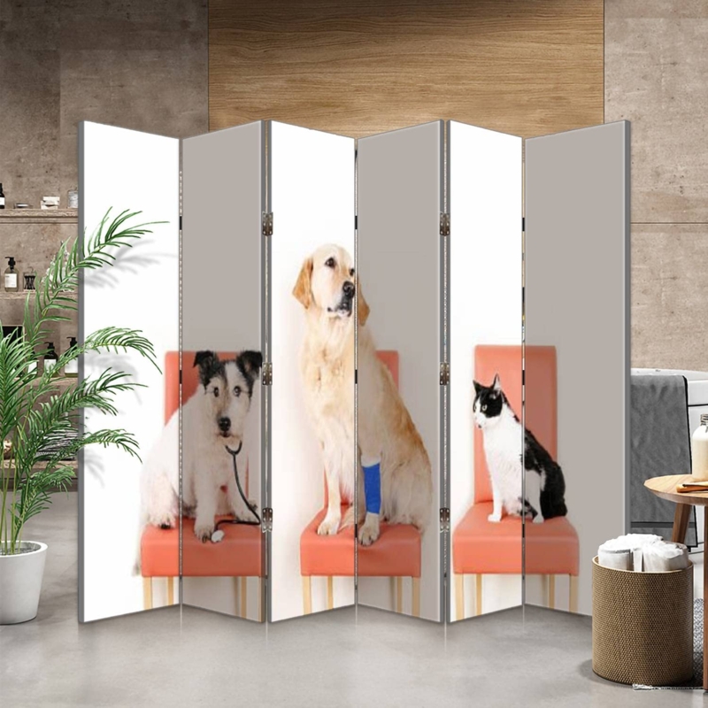 Amazon.com: Canvas Room Divider Screen Animals at Vet Room Separator  Folding Screen Privacy Partition Wall Dividers for Rooms 6 Panels : 