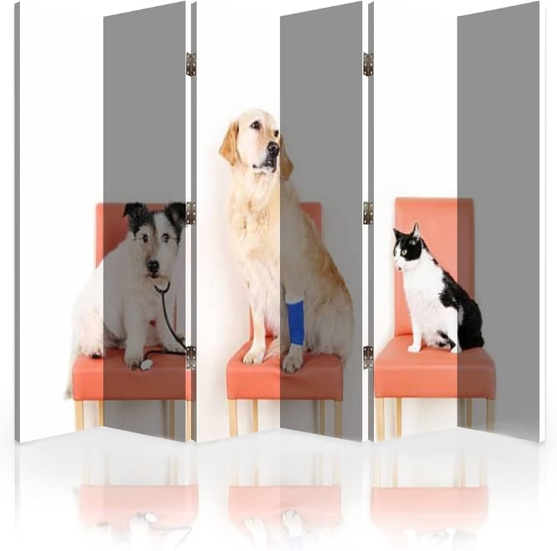 Amazon.com: Canvas Room Divider Screen Animals at Vet Room Separator  Folding Screen Privacy Partition Wall Dividers for Rooms 6 Panels : 