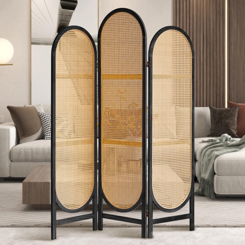 Arched Room Divider Black Frame Natural Cane Mesh Folding Screen
