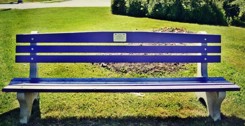 Backless Garden Bench with Black Scrolled Metal Legs in Vibrant Purple