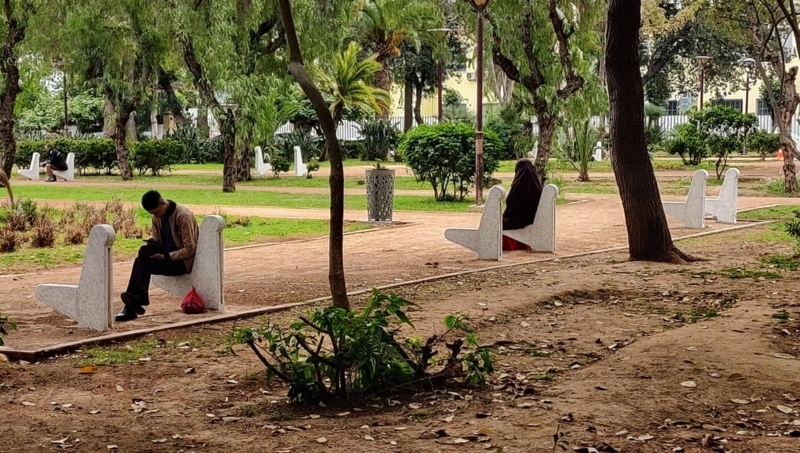Garden Bench Concrete Frames Seatless Design Minimalist Accents