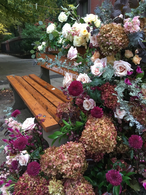 Garden Bench Lush Floral Installation Antique Hydrangeas Urban