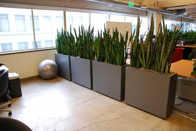 Gray Trough Planter Box Divider, Modern Office Plant Partition