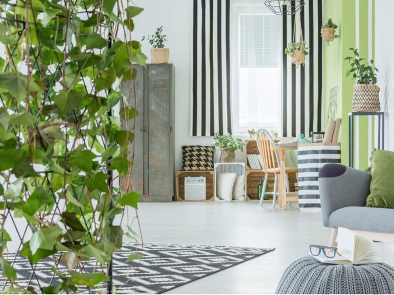 Metal Trellis Room Divider, Indoor Plant Wall Partition Ideas