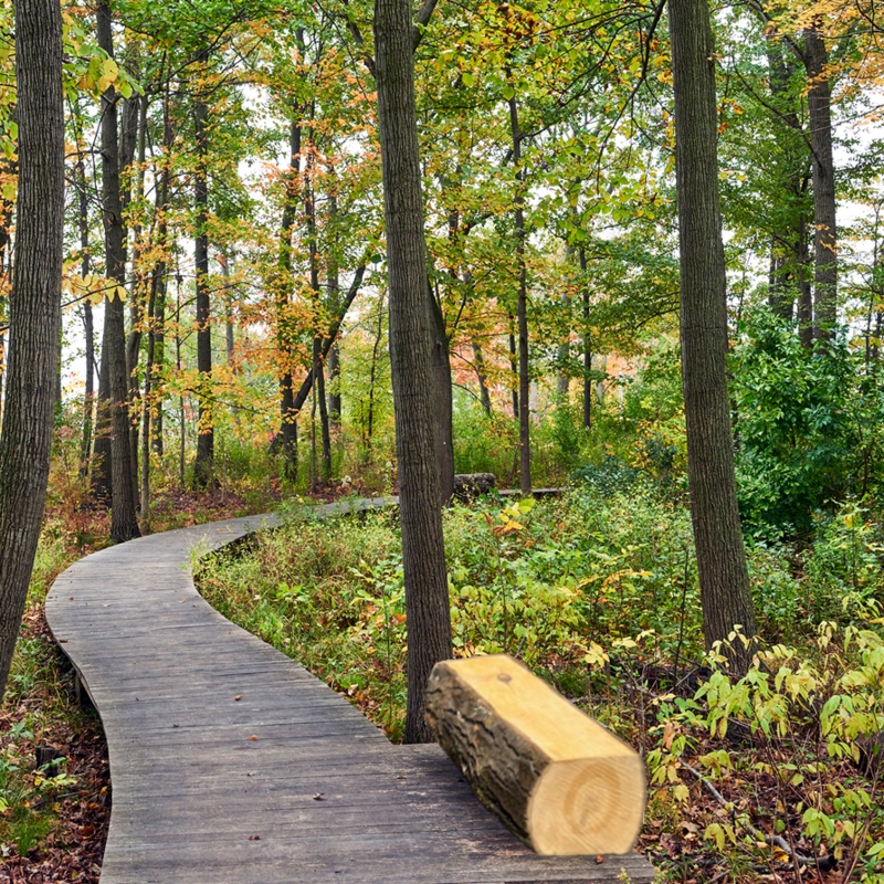 Milled Log Bench Raw Edge Bark Organic Garden Seating