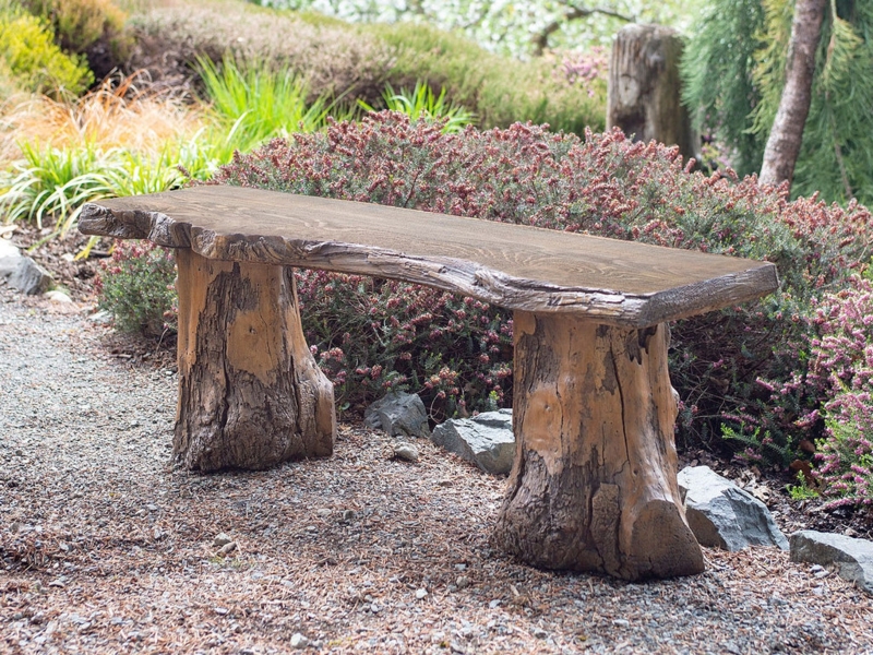 Organic Wood Bench Live Edge Slab with Sculptural Driftwood Legs