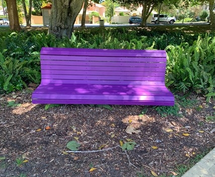 Park Bench featuring Painted Wood Slats and Metal Frame Support