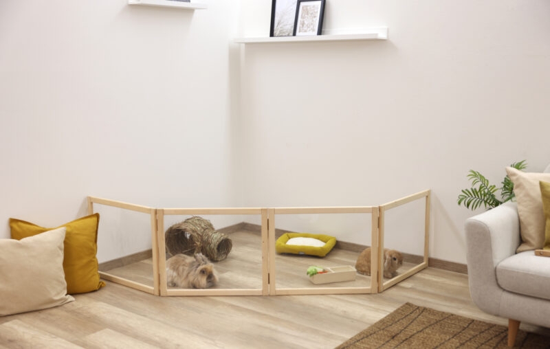 Pet Enclosure Clear Panels Light Wood Modular Design Folding