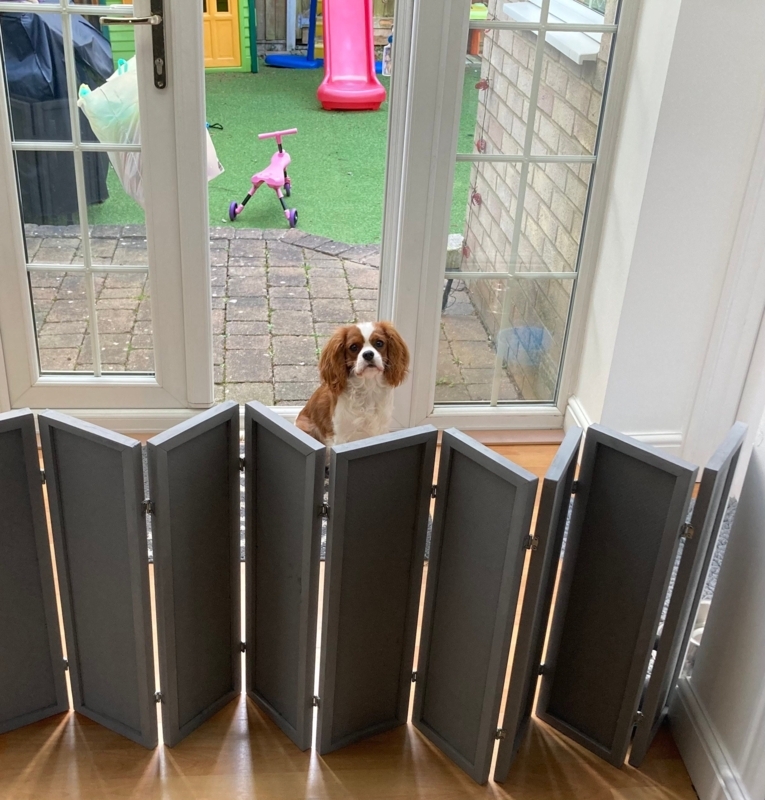 Pet Gate Accordion Folding Freestanding Grey Barrier