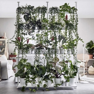 Tension Pole Shelving Room Divider, Floor to Ceiling Plant Wall