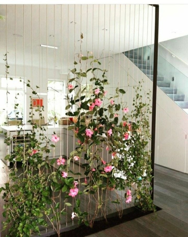 Tension Wire Trellis Room Divider, Minimalist Living Wall Screen
