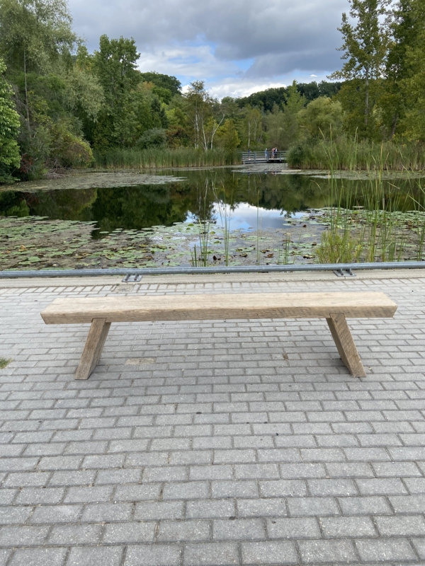 Thick Slab Wooden Accent Bench Raw Wood Texture
