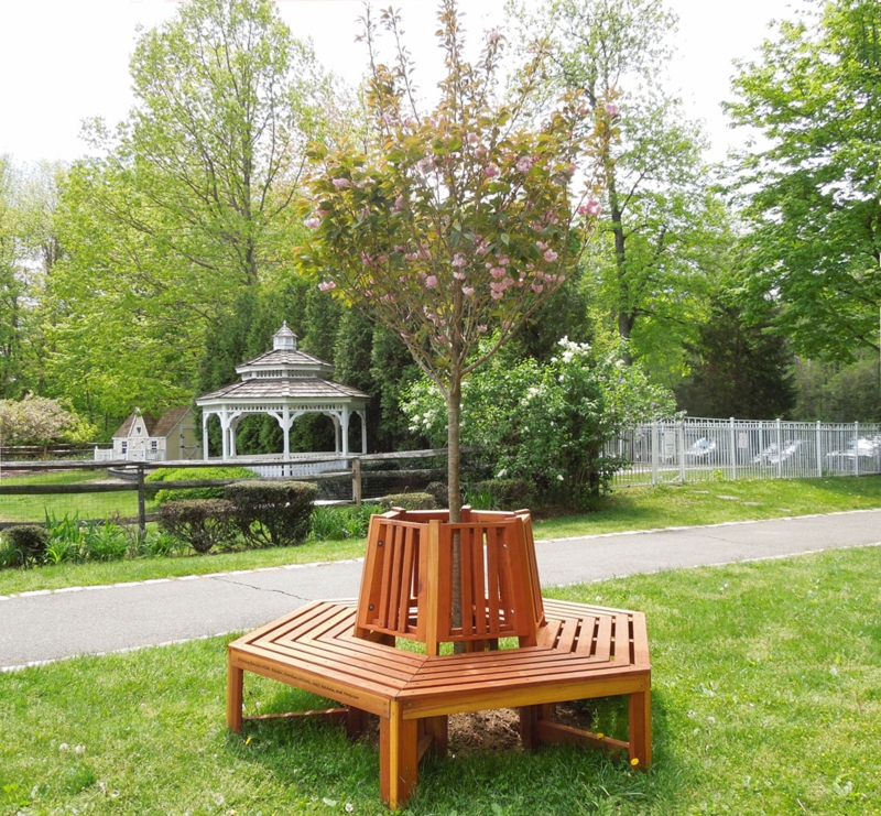 Tree Bench Redwood Timber Semi Circular Form Wrap Around Design