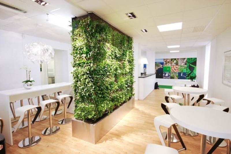 Vertical Green Wall Divider for Modern Office Breakroom Seating