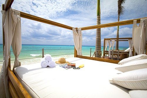Canopy Beach Bed Sheer Canopy Curtains Wood Toned Tropical Airy