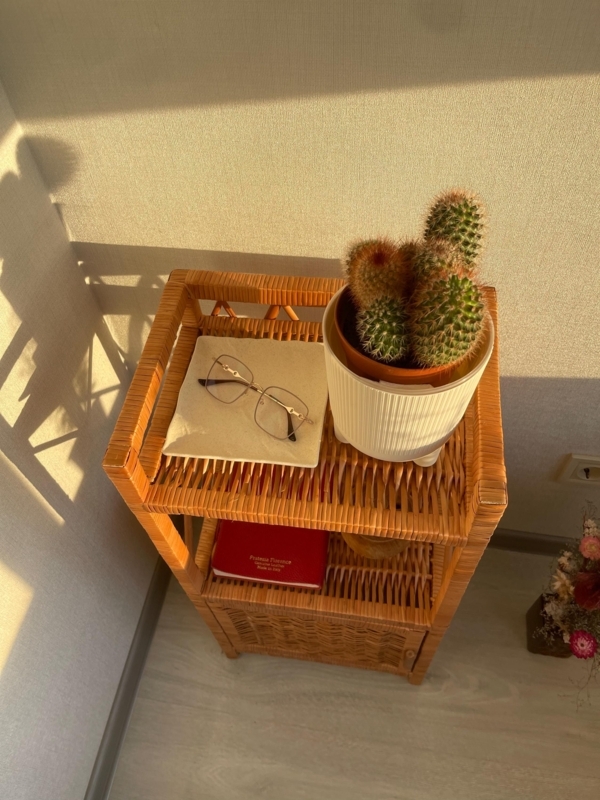Cylindrical Rattan Nightstand Wicker Webbing Single Door Handmade