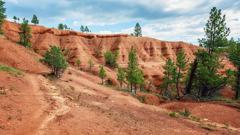 Devils Tower Monument with Winding Clay Path