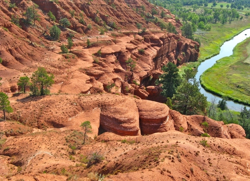 Layered Sandstone Rock Garden with Desert Flora