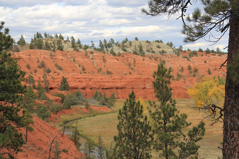 Layered Terracotta Bed Formations with Sparse Trees