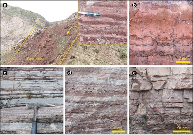 Oxidized Rust Stratified Geological Landscape Concept