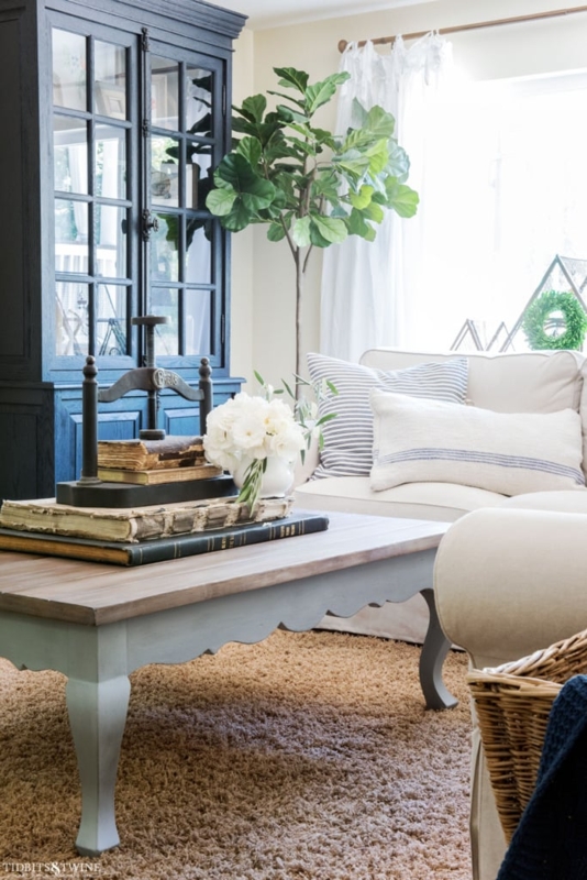 Rectangular Coffee Table with Cabriole Legs, Wood Finish, Shelf. Traditional living room.