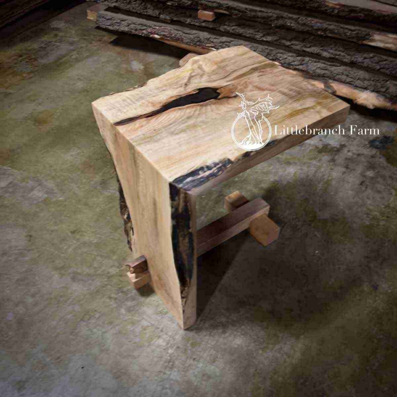 Rustic End Table with Organic Root Base and Thick Slab