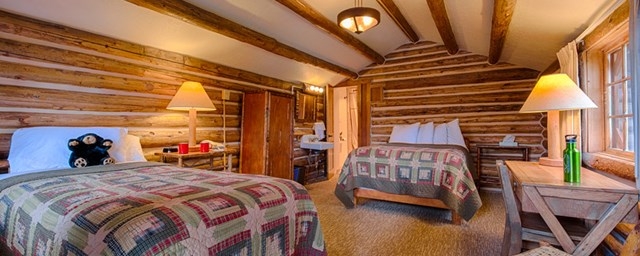 Upholstered Bed Log Walls Forest View Rustic Cabin Navy Accents