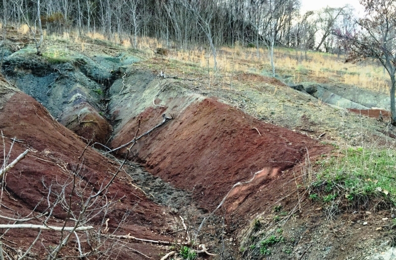 Vertical Stratified Rust-Brown Geological Outcrop