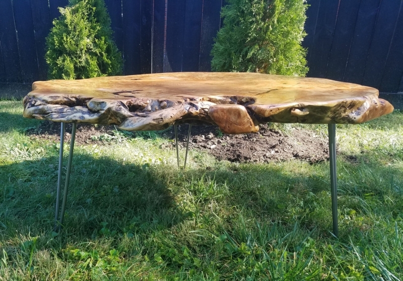 Coffee Table Live Edge Burl Wood Slab Organic Shape Tapered Metal Legs