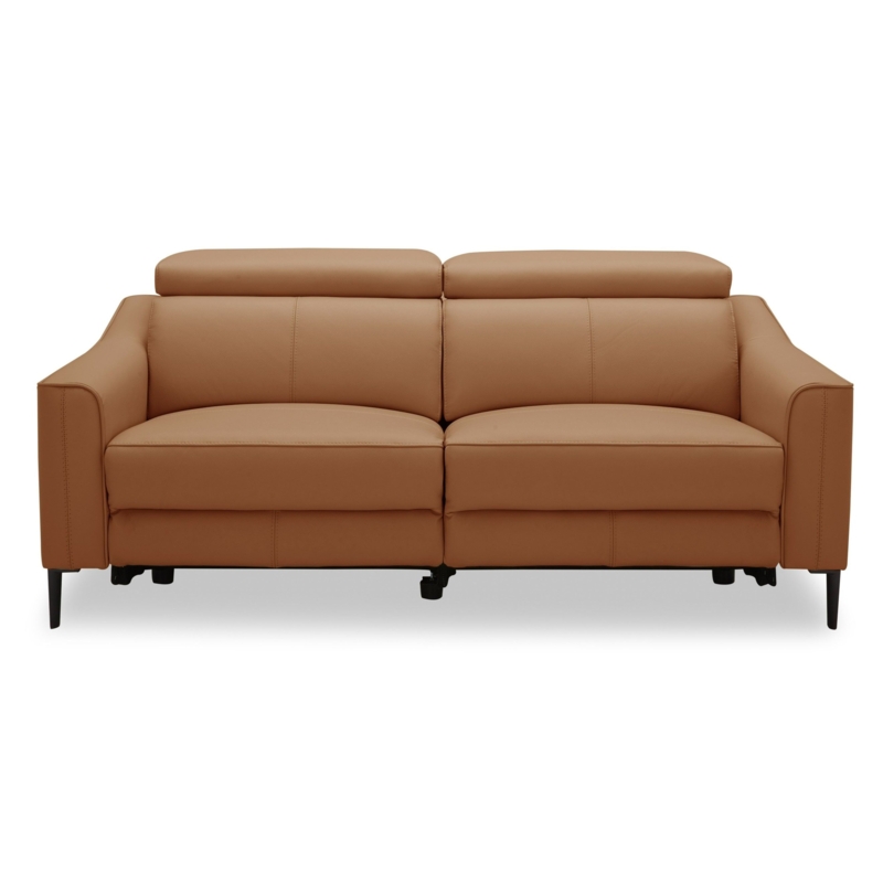 Dual Reclining Loveseat, Contemporary Living Room Sofa Layout