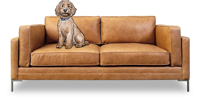 Low Profile Leather-Like Sofa, Block Cushions, Minimalist Style