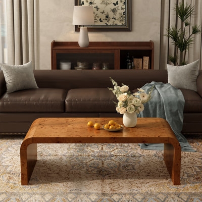 Oval Coffee Table, Burl Wood Grain, Curved Slab Legs, Organic Modern
