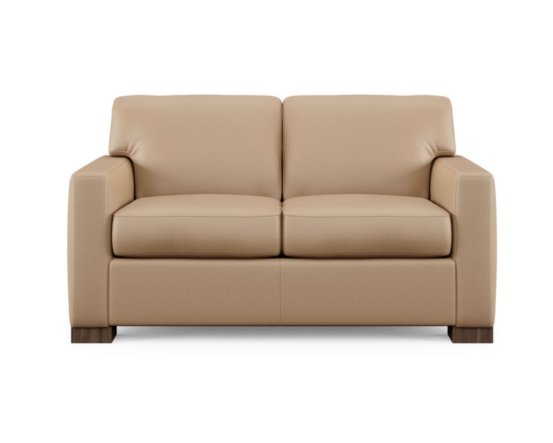 Stationary Loveseat with Rolled Arms and Silver-Toned Nailhead Trim