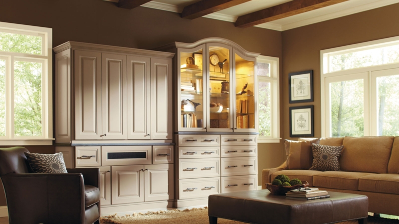 Transitional Built-in Cabinetry with Shaker-Style Doors and Brass Hardware