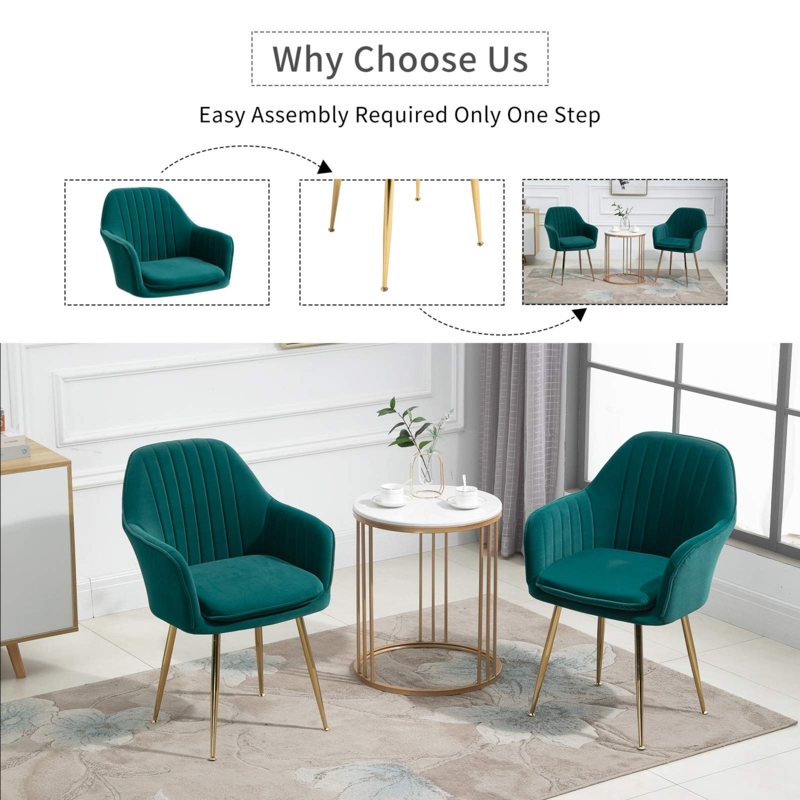 Accent Chairs Velvet, Fluted Curved Back with Gold-Toned Metal Legs