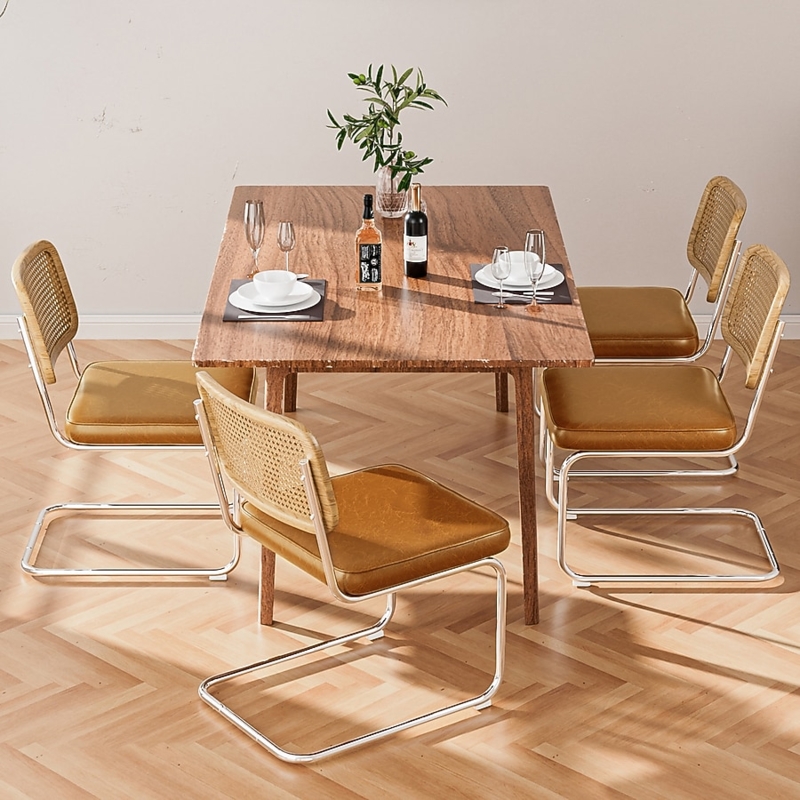 Dining Chair Cantilever Base with Rattan Backrest Modern