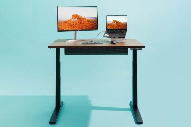 Adjustable Standing Desk Wood Toned Monitor Arm Setup