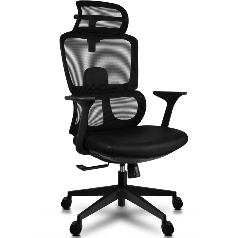 Ergonomic Office Chair with Lumbar Support, Adjustable Executive Desk  Armchair with Tall Back Mesh & Headrest - 2xhome - Modern and Contemporary  Furniture