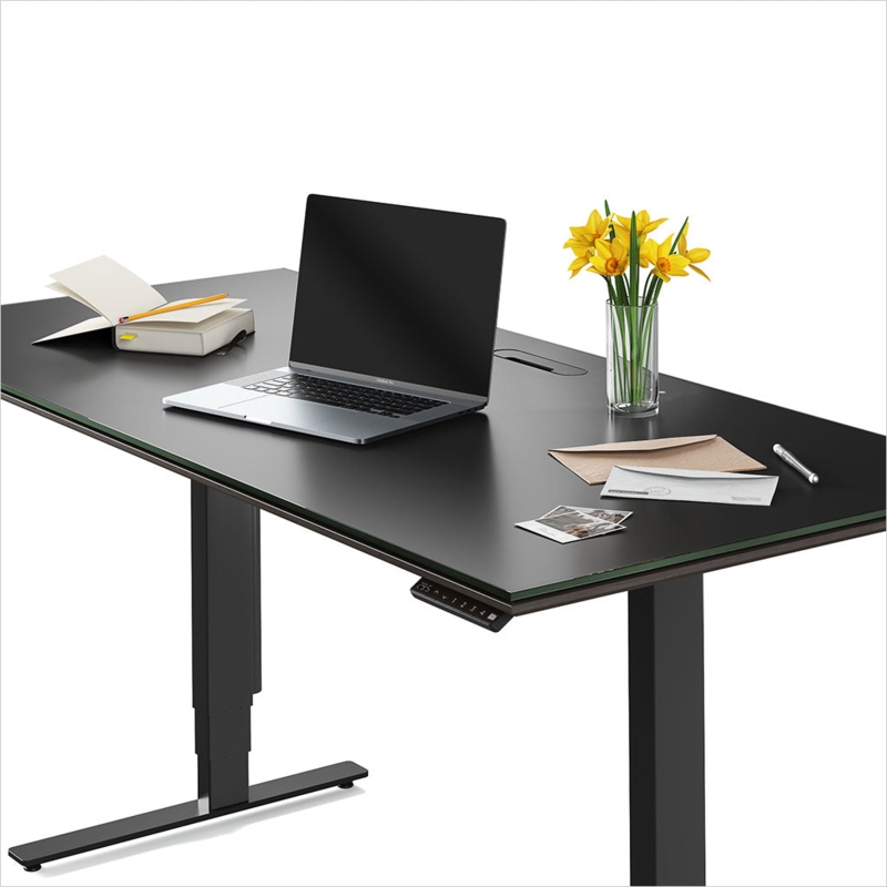 Ergonomic Standing Desk with Digital Height Controller and Glass Inlay