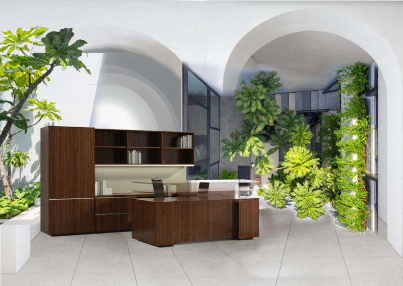 Executive Desk Transitional Lift Top Sit Stand Mechanism