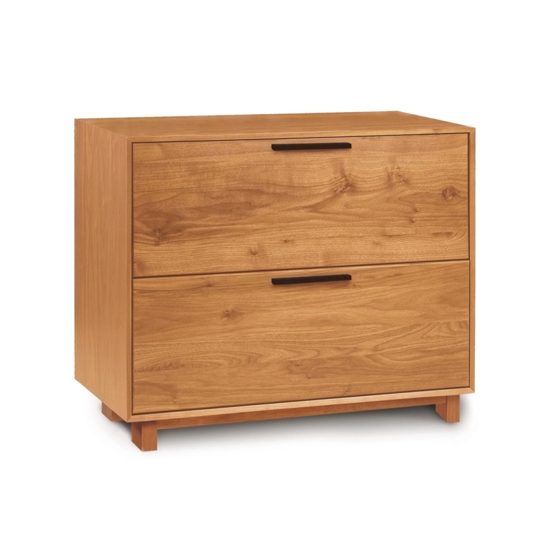 File Cabinet Minimalist Cherry Toned Wood with Slim Hardware