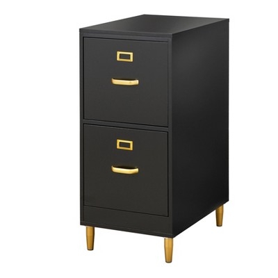 Filing Cabinet Modern Minimalist 2-Drawer Matte Finish with Gold Handles