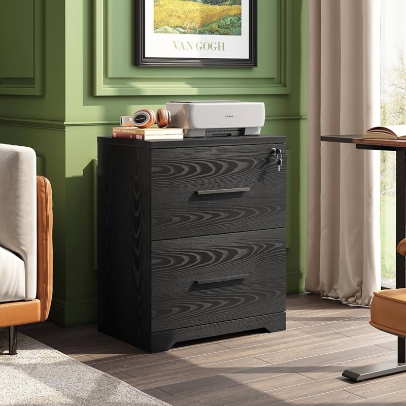 Lateral File Cabinet Locking Mechanism Two Drawers Printer Station