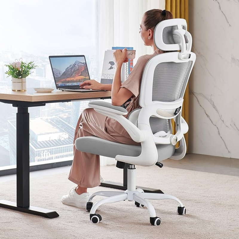 Office Chair, Black Mesh Back, White Frame, Headrest