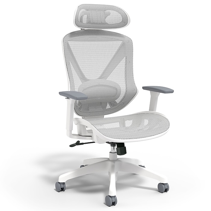 Office Chair, Gray All-Mesh Construction, Adjustable Headrest