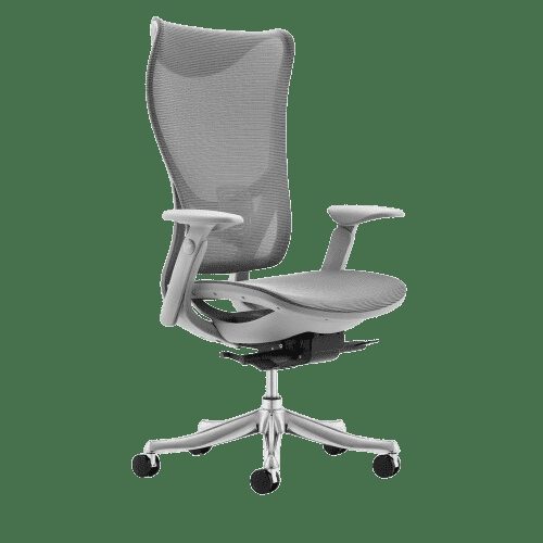 Office Chair, High Back Grey Mesh with Polished Aluminum Base