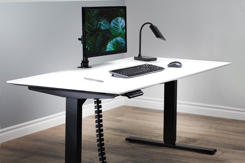 Standing Desk White and Wood Contrast with Dual Monitor Mount