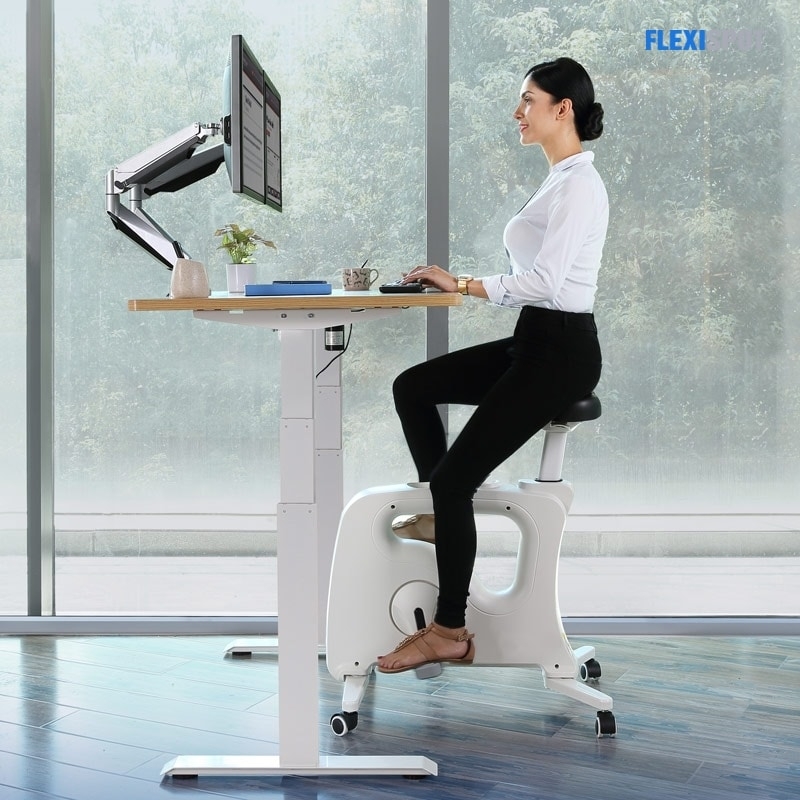 Standing Desk White Monochromatic with Under Desk Bike Workstation