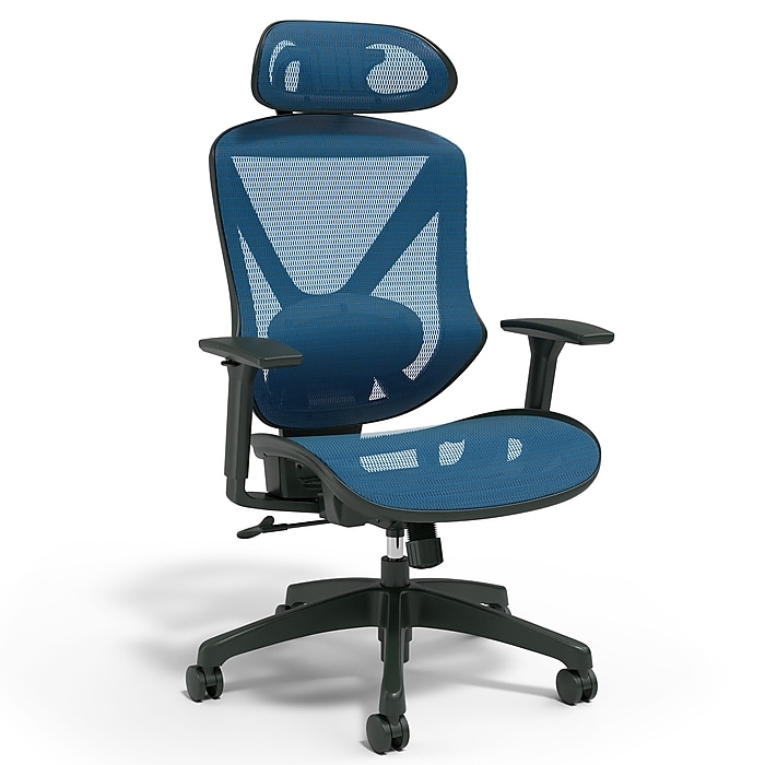 Task Chair with Headrest, Ergonomic Mesh Back Support